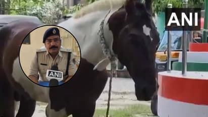 west champaran horse liquor smuggling police raid nautan gandak diyara