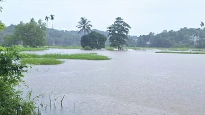 Wayanad tourist spots reopen as Kerala monsoon sees a lull