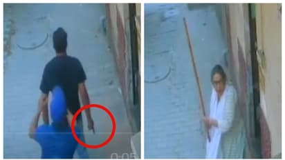 തോക്ക് ചൂണ്ടി ഏറ്റുമുട്ടി യുവാക്കൾ, വടിയെടുത്ത് വിരട്ടിയോടിച്ച് മുത്തശ്ശി; അഭിനന്ദനങ്ങളുമായി സോഷ്യൽ മീഡിയ