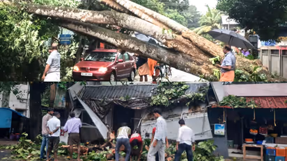 ചുഴലിക്കാറ്റിൽ മാന്നാറിൽ വ്യാപക നാശം; നിരവധി വീടുകൾ തകർന്നു, വൈദ്യുത ലൈനുകൾ പൊട്ടിവീണു