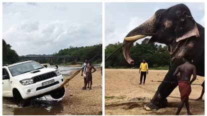 'നമ്മടെ വടംവലിയാണെന്ന് കരുതിയാ മതി'; പുഴയില് കുടുങ്ങിയ കാര് വലിച്ച് കയറ്റുന്ന ആനയുടെ വീഡിയോ വൈറല്
