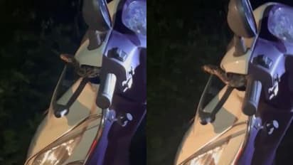 വൈസറിലൊരു അനക്കം, കയ്യിൽ തണുപ്പ്, അപ്രതീക്ഷിത അതിഥിയെ കണ്ട് പകച്ച് യുവതി, ഓടിക്കൊണ്ടിരുന്ന സ്കൂട്ടിയിൽ പാമ്പ്