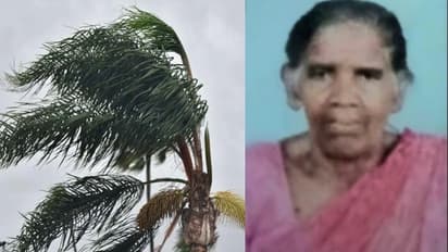 Kerala rains: Woman dies in Kochi after tree falls on her
