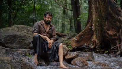 തുടരും ശരിക്കും നേടിയത് എത്ര?, കളക്ഷൻ കണക്കുകള്‍