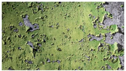 ഇളകി വരാൻ സാധ്യത കൂടുതൽ; വീട് പെയിന്റ് ചെയ്യുമ്പോൾ ശ്രദ്ധിക്കേണ്ട 4 കാര്യങ്ങൾ