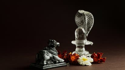 Mahesh Navmi 2025: Check Date, Puja, Mantra, Shubh Muhurat