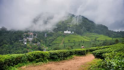 Top hill station escapes in Uttarakhand and Himachal to visit this June