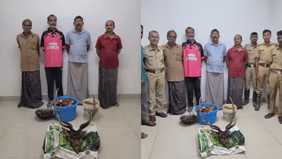 തോട്ടത്തിലെത്തിയ പുള്ളിമാനെ വേട്ടയാടി, പാചകത്തിനിടെ പൊലീസെത്തി; പ്രതികൾ റിമാന്‍റിൽ