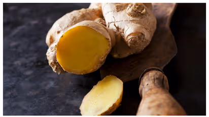 ഈ 5 കാര്യങ്ങൾ മതി; വീട്ടിൽ സിംപിളായി ഇഞ്ചി വളർത്താം 