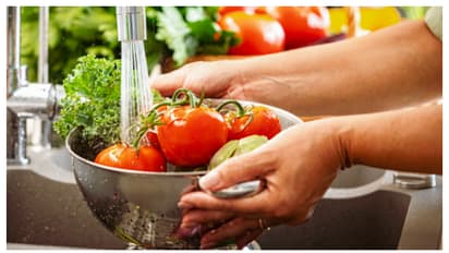 മഴയെത്തി, ഭക്ഷ്യജന്യ രോഗങ്ങൾ ഉണ്ടാവാതിരിക്കാൻ അടുക്കളയിൽ ശ്രദ്ധിക്കേണ്ട 6 കാര്യങ്ങൾ  