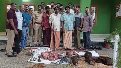 വെരുകിനെയും കാട്ടുപന്നിയെയും ഷോക്കടിപ്പിച്ച് കൊന്ന് ഇറച്ചിയാക്കി വിറ്റെന്ന് കേസ്; വയനാട്ടിൽ മൂന്ന് പേർ പിടിയിൽ