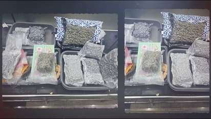 ബാങ്കോക്കിൽ അവധിയാഘോഷിച്ച് യുവാവും യുവതിയും തിരുവനന്തപുരത്ത് വിമാനമിറങ്ങി, 10 കോടിയുടെ കഞ്ചാവുമായി പിടിയിൽ