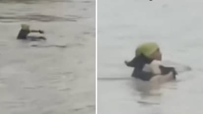 ഒന്നും നോക്കിയില്ല, എടുത്തുചാടി, ഭയന്നുവിറച്ച് വെള്ളത്തിൽ നായ, രക്ഷകനായി യുവാവ്, അഭിനന്ദിച്ച് സോഷ്യൽ മീഡിയ