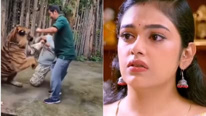 'ജീവനോടെ നാടെത്തിയത് വീട്ടുകാരുടെ പ്രാർത്ഥന കൊണ്ട്'; വീഡിയോയുമായി റബേക്ക സന്തോഷ്