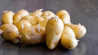 मीठे आलू का स्वाद कैसे बैलेंस करें