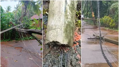 വൈദ്യുത പോസ്റ്റുകൾ ഒടിയാൻ കാരണം കനം കുറഞ്ഞ കമ്പികൾ? വിശദീകരണവുമായി കെഎസ്ഇബി