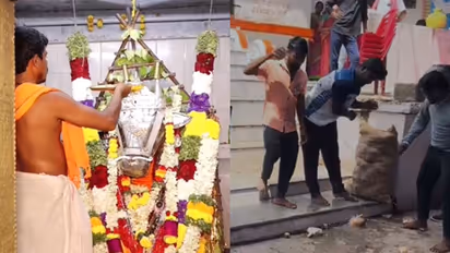 IPL 2025 Final RCB vs PBKS कर्नाटकात RCB च्या विजयासाठी फॅन्सकडून विशेष पूजा!