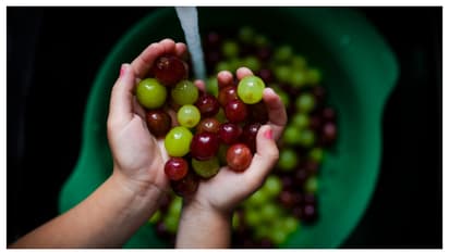 മുന്തിരിയിലെ അണുക്കളെ കളയാൻ ചെയ്യേണ്ട 4 കാര്യങ്ങൾ 