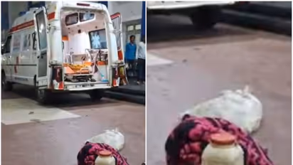 യുവാവിനൊപ്പം കടിച്ച മൂർഖനെയും പിടിച്ച് ആശുപത്രിയിലെത്തിച്ച് ബന്ധുക്കൾ, പരിഭ്രാന്തരായി രോഗികളും ഡോക്ടർമാരും