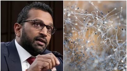 'കാമുകിയെ കാണാൻ വന്നപ്പോൾ അമേരിക്കയിലേക്ക് കടത്തിയത് മാരക നശീകരണ ശേഷിയുള്ള രോഗാണുവിനെ'; ചൈനക്കാർക്കെതിരെ നടപടി