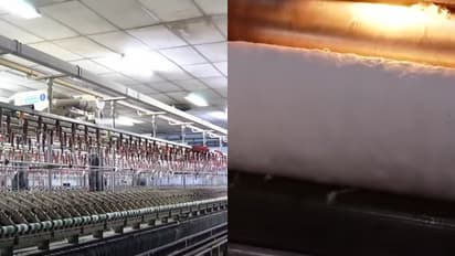 ഒടുവിൽ കറന്റ് വന്നു, മെഷീനുകൾ ഓടിത്തുടങ്ങി; വീണ്ടും തുറന്ന് കോട്ടയം ടെക്സ്റ്റെയിൽസ് സ്പിന്നിങ് മില്ല് 