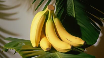 Which is better for energy banana or dates