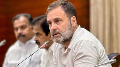 Congress Leader Rahul Gandhi