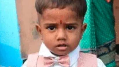 बंदर भगाने में मासूम की मौत, कुल्हाड़ी से कटा 2 साल के बेटे का गला-जानें क्या है पूरा मामला