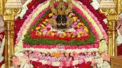 nirjala ekadashi 2025 khatu shyam darshan 5 lakh devotees security arrangement