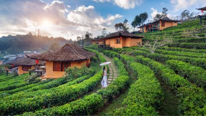 Affordable IRCTC tour package for Ooty and Mudumalai