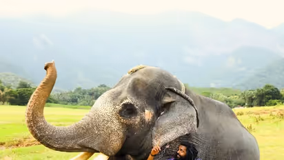 ನಟ ವಿಜಯಕಾಂತ್ ಮಗ ಷಣ್ಮುಗ ಪಾಂಡಿಯನ್ 'ಪಡೈ ತಲೈವನ್' ಸಿನಿಮಾ ಬಿಡುಗಡೆಗೆ ಕ್ಷಣಗಣನೆ!