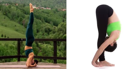  best yoga for body posture