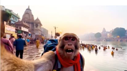 बंदर बना व्लॉगर! हर की पौड़ी पर वीडियो वायरल, लेकिन सच्चाई हैरान कर देगी