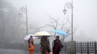 Monsoon arrives in Himchal Pradesh