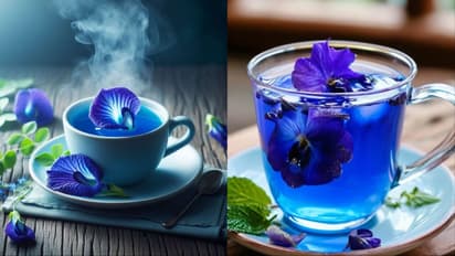 Aparajita flower tea benefits in hindi