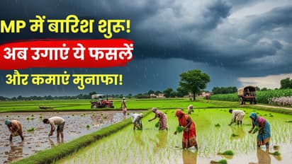 best monsoon crops mp farming profit 2025