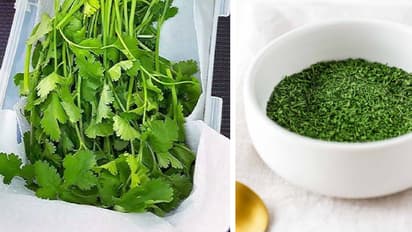 store Coriander leaves 