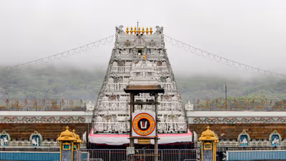 tirupati mandir laddu news