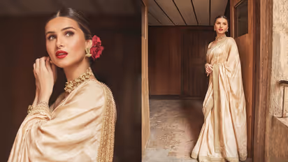 Golden Saree Designs