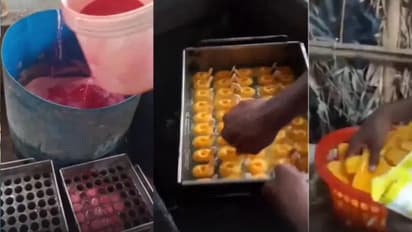 दिखने में स्वीट अंदर से चीट, Ice Cream खाने से पहले जरूर देखें ये Viral Video