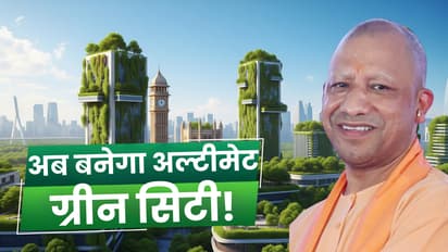  up green city policy ncap urban forest