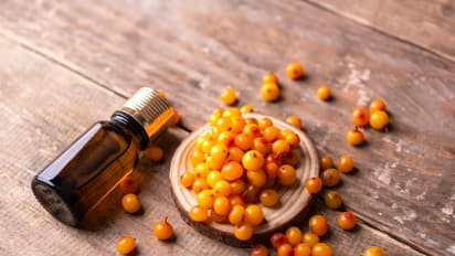 Sea Buckthorn Nutrition