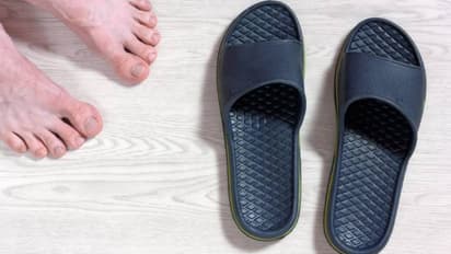 प्रतीकात्मक तस्वीर।