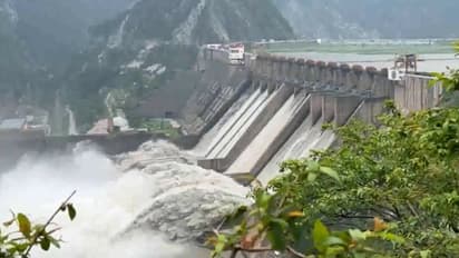 Salal Dam Gates Opened in J&K After Heavy Rain Swells Chenab River