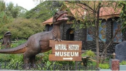 Natural History Museum