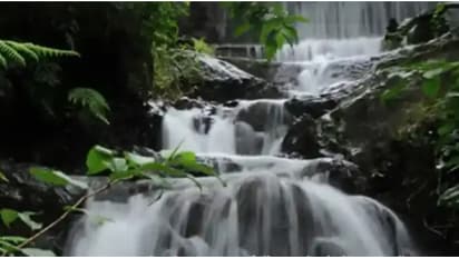 Top 3 Highest Waterfalls in India: A Monsoon Must-See