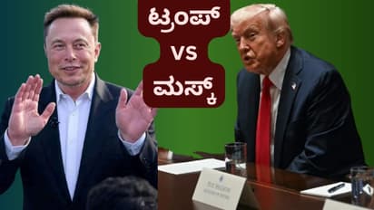 Donald Trump Elon Musk