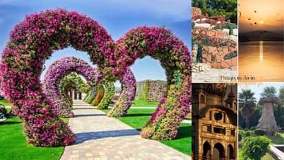 Escape the Ordinary: Your Chandigarh Monsoon Adventure Awaits!