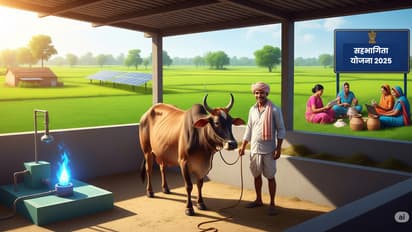 mukhyamantri sahbhagita yojana 2025