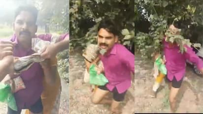 भाजपच्या नेत्याचा महिलेसोबतचा आक्षेपार्ह अवस्थेतील व्हिडिओ व्हायरल, तुमच्या डोक्याला येतील मुंग्या